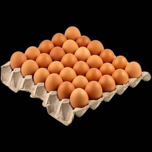 Alveole d'oeufs