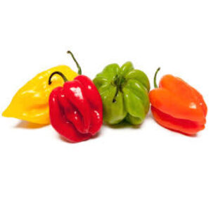 Piment