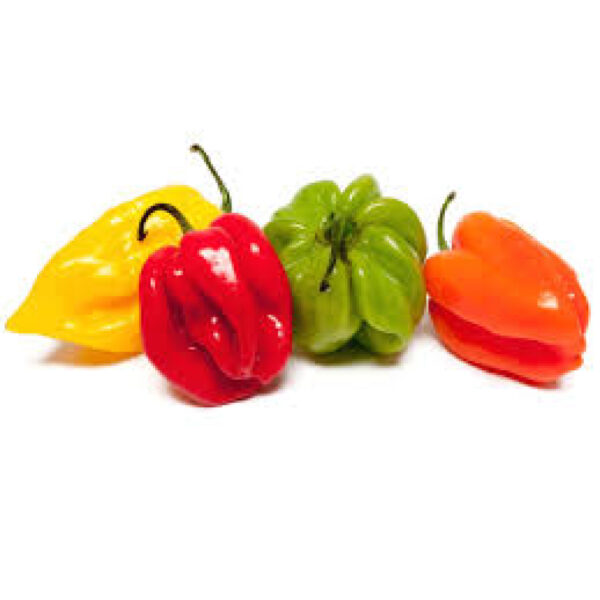 Piment